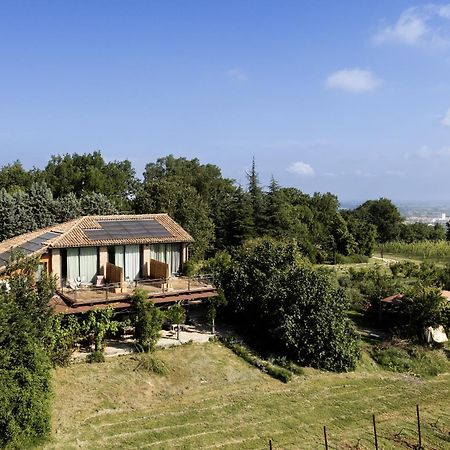 La Ca Dal Non Bioagriturismo - Alpenice 사비냐노 술 파나로 외부 사진