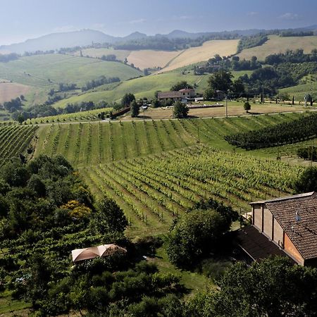 La Ca Dal Non Bioagriturismo - Alpenice 사비냐노 술 파나로 외부 사진