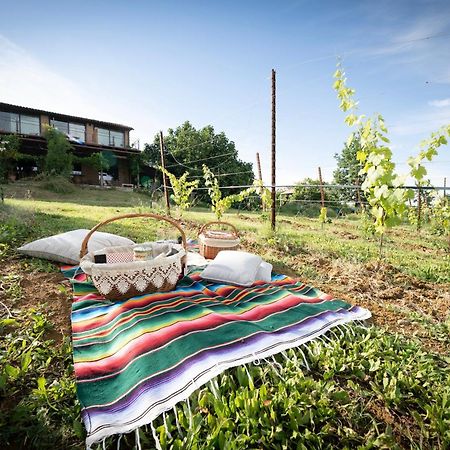 La Ca Dal Non Bioagriturismo - Alpenice 사비냐노 술 파나로 외부 사진