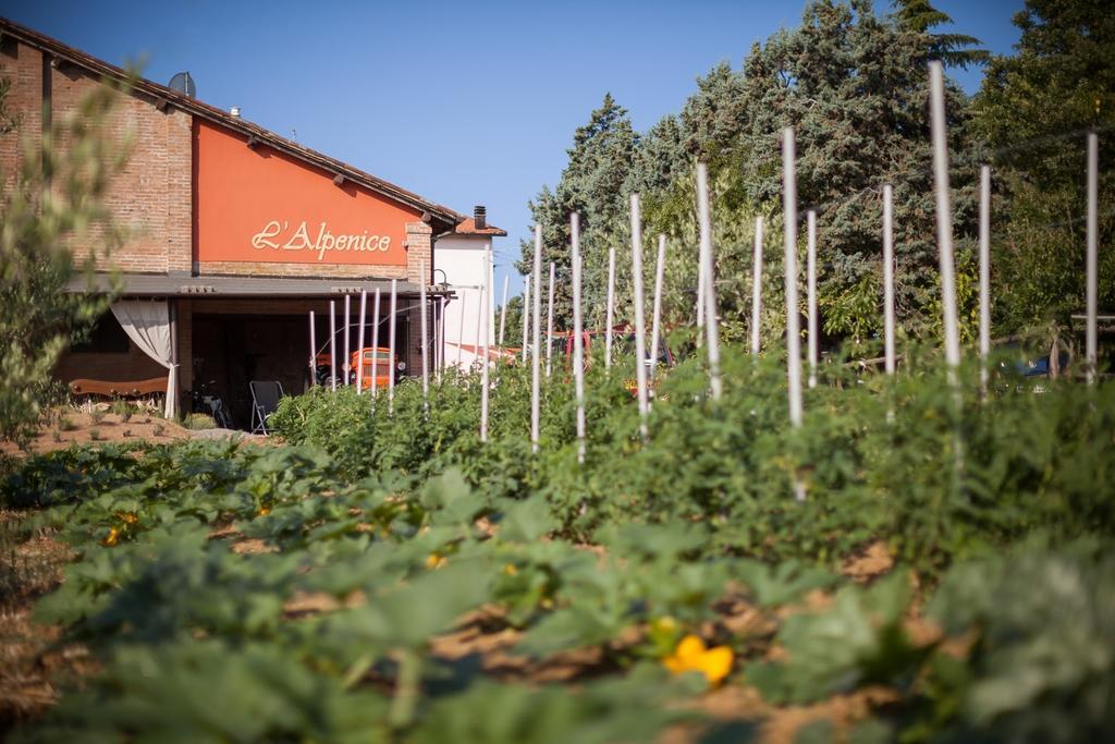 사비냐노 술 파나로 L'Alpenice Bioagriturismo 빌라 외부 사진