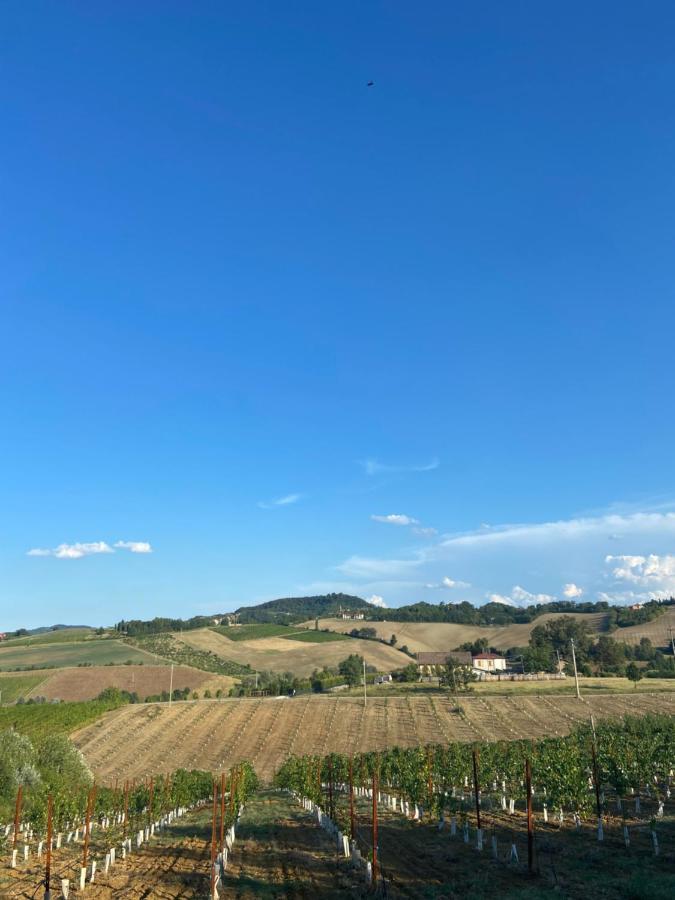 사비냐노 술 파나로 L'Alpenice Bioagriturismo 빌라 외부 사진