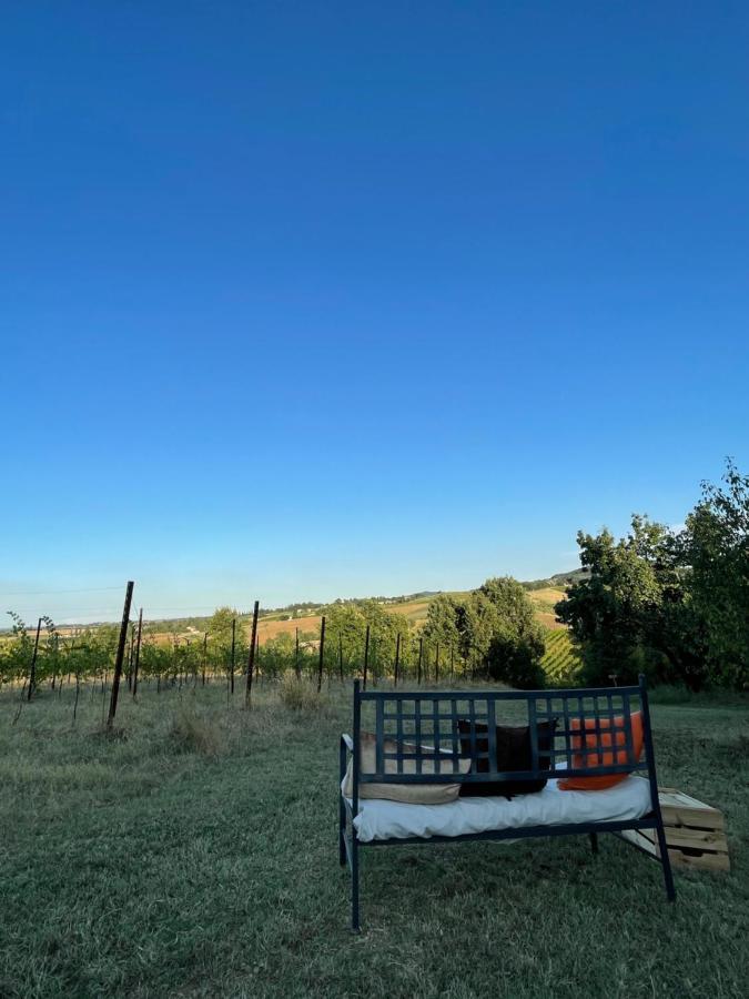La Ca Dal Non Bioagriturismo - Alpenice 사비냐노 술 파나로 외부 사진