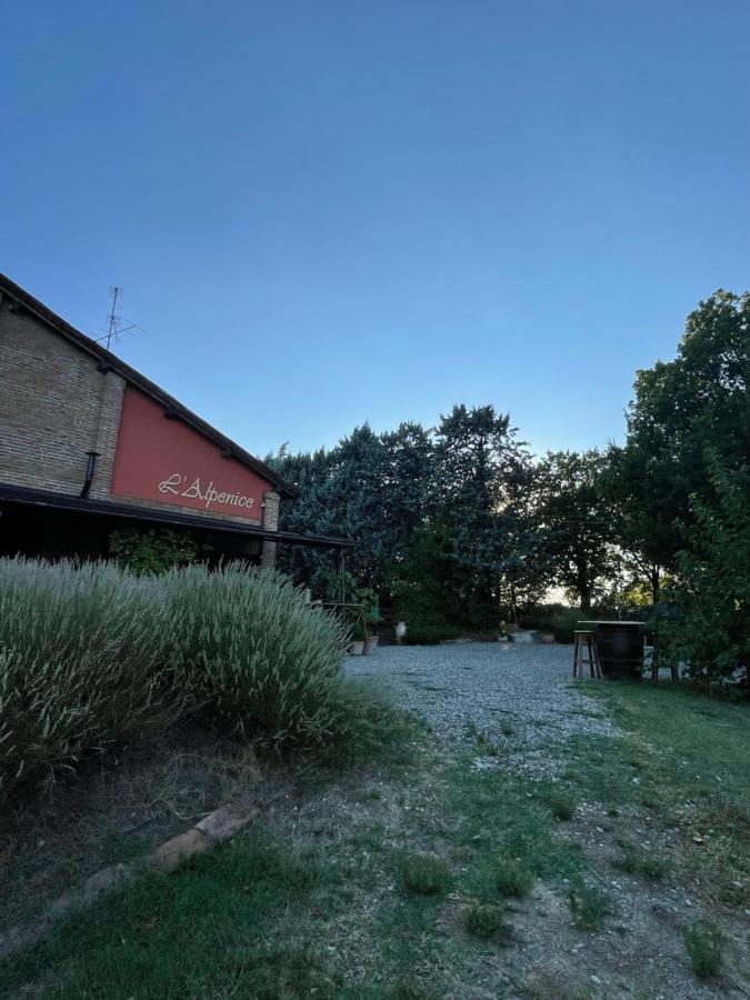 La Ca Dal Non Bioagriturismo - Alpenice 사비냐노 술 파나로 외부 사진