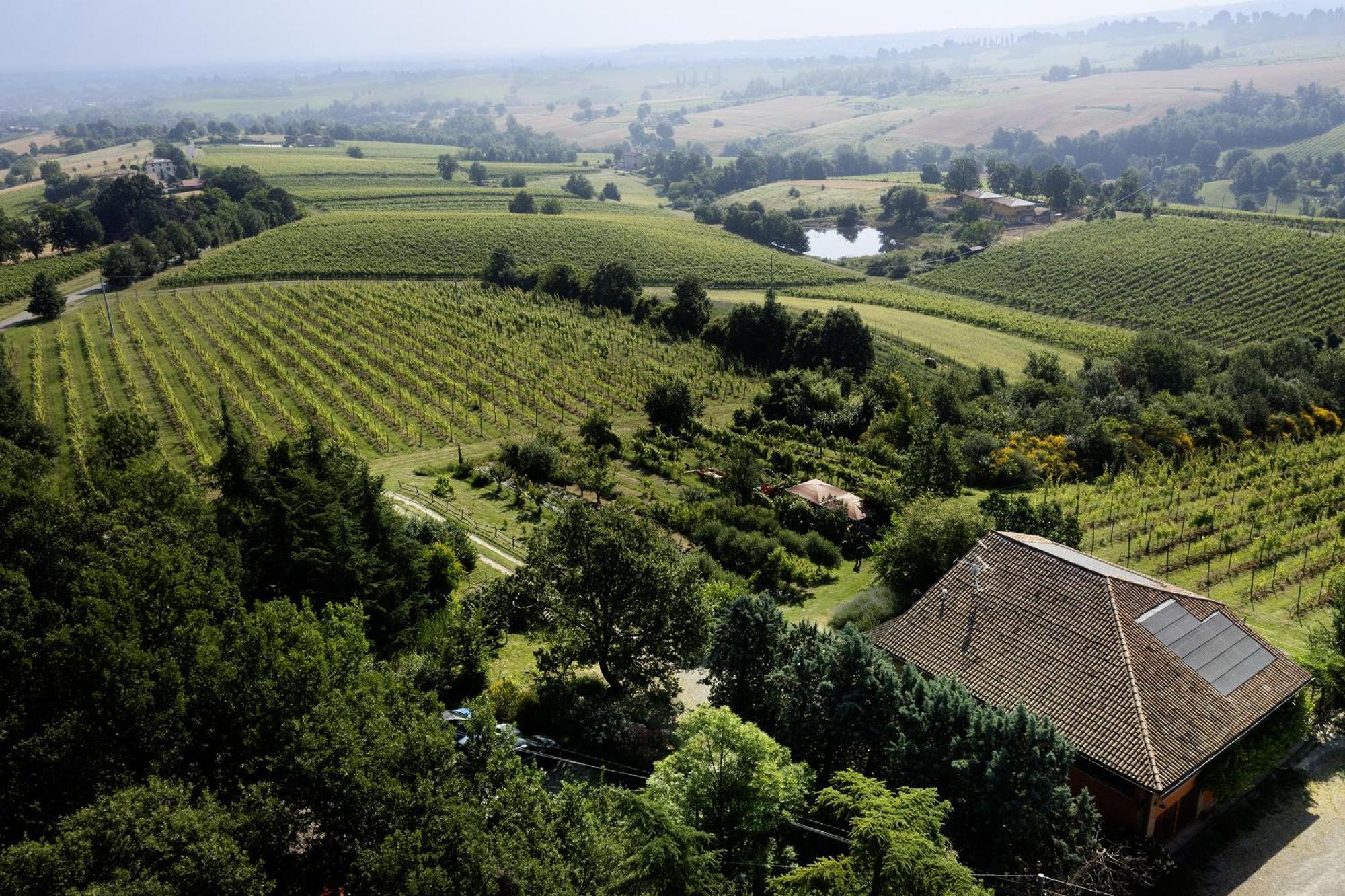 La Ca Dal Non Bioagriturismo - Alpenice 사비냐노 술 파나로 외부 사진