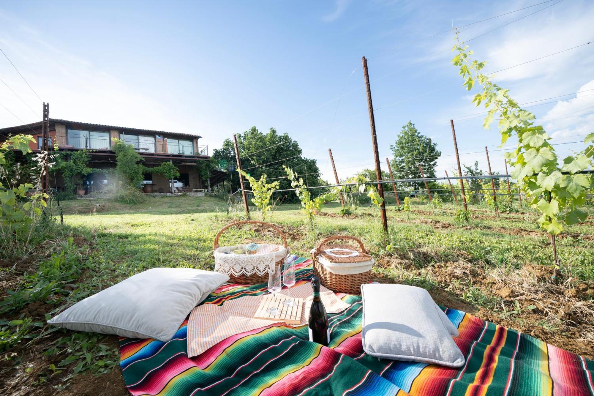 사비냐노 술 파나로 L'Alpenice Bioagriturismo 빌라 외부 사진