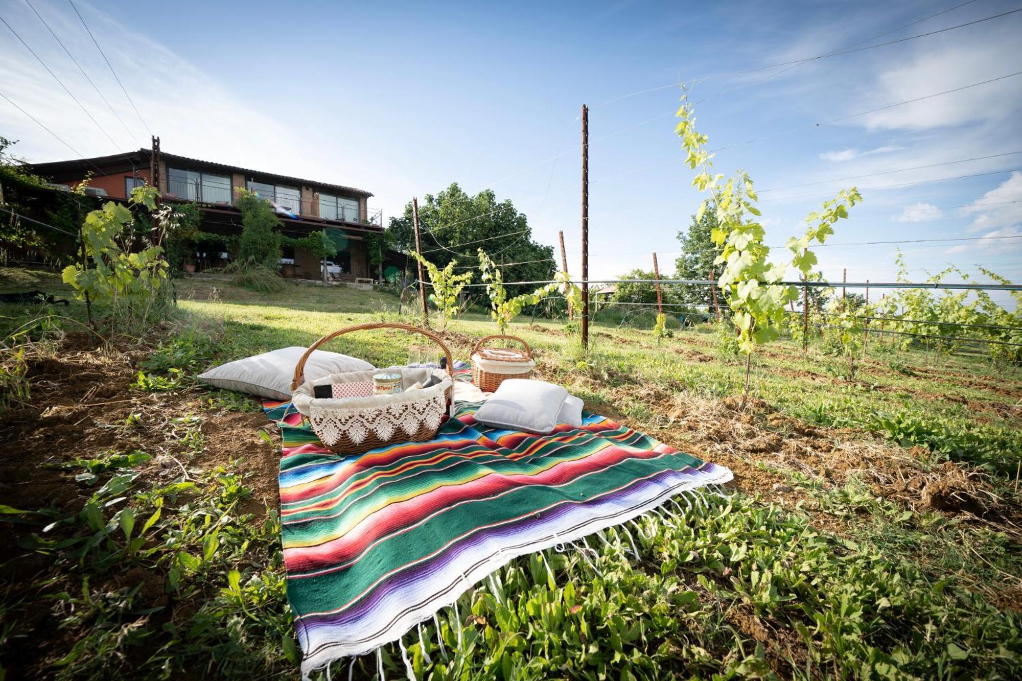 La Ca Dal Non Bioagriturismo - Alpenice 사비냐노 술 파나로 외부 사진