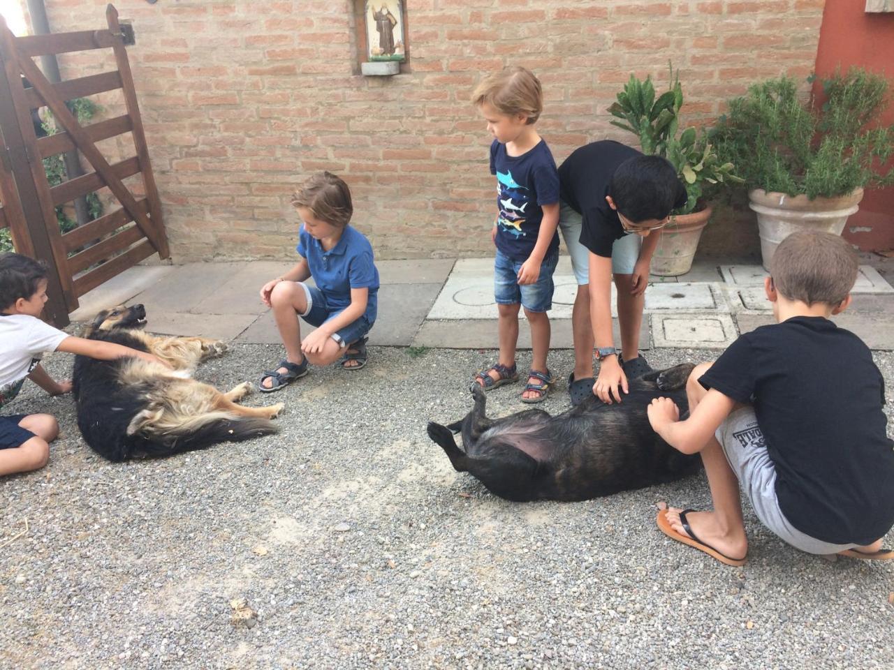 사비냐노 술 파나로 L'Alpenice Bioagriturismo 빌라 외부 사진